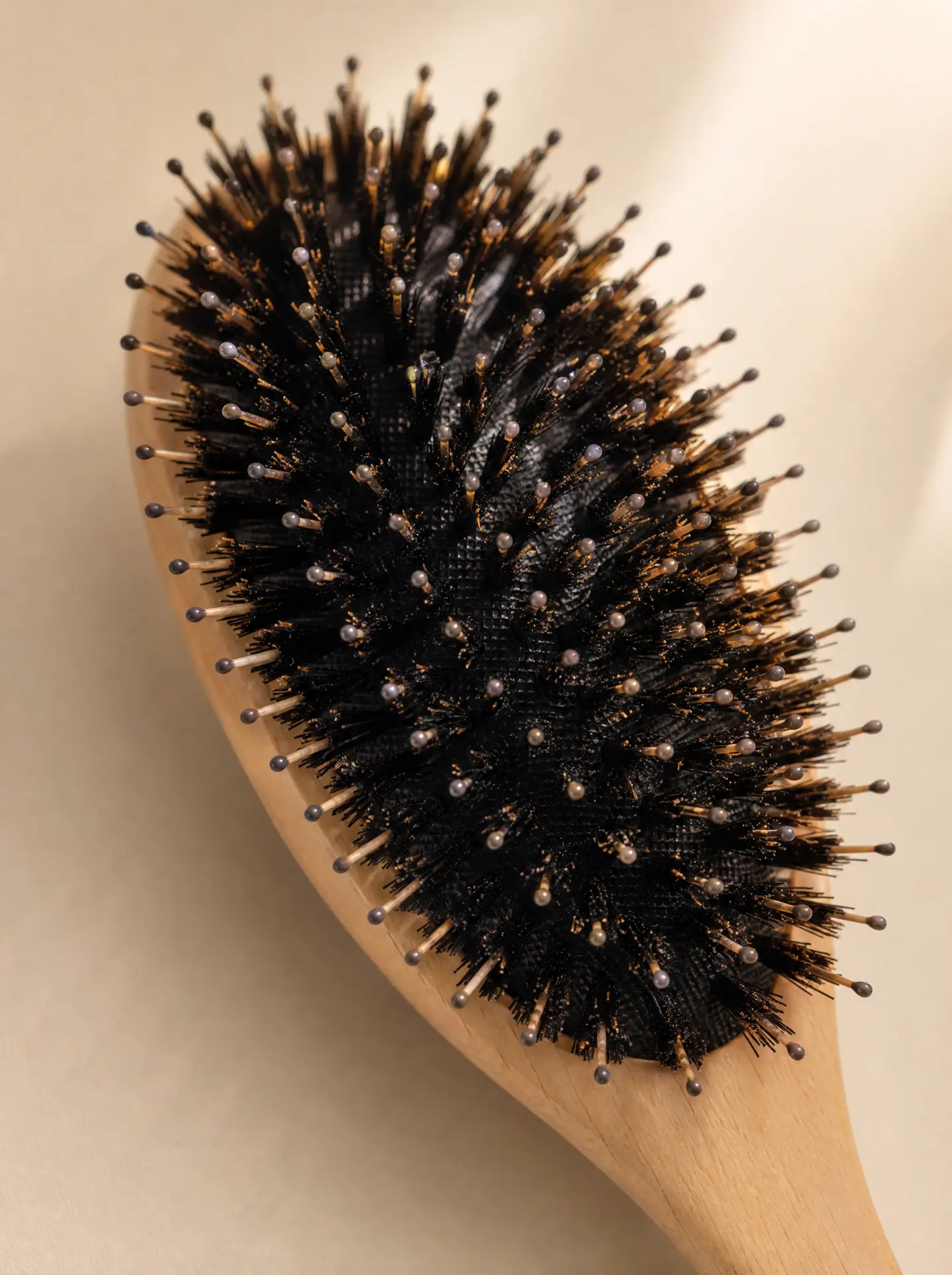 Close-up of the SilkBrush™ boar bristles
