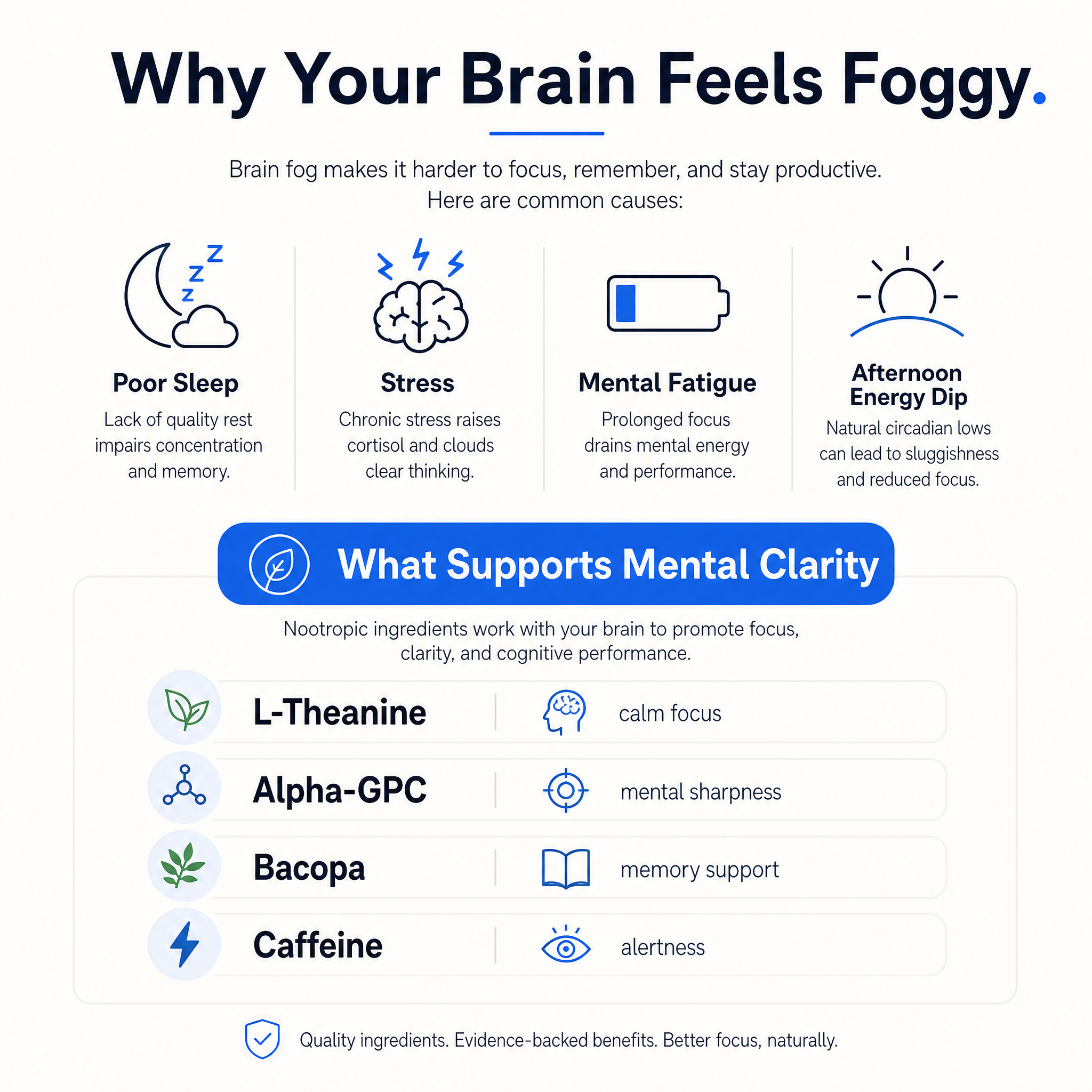 Why your brain feels foggy — common causes and the nootropics that support mental clarity